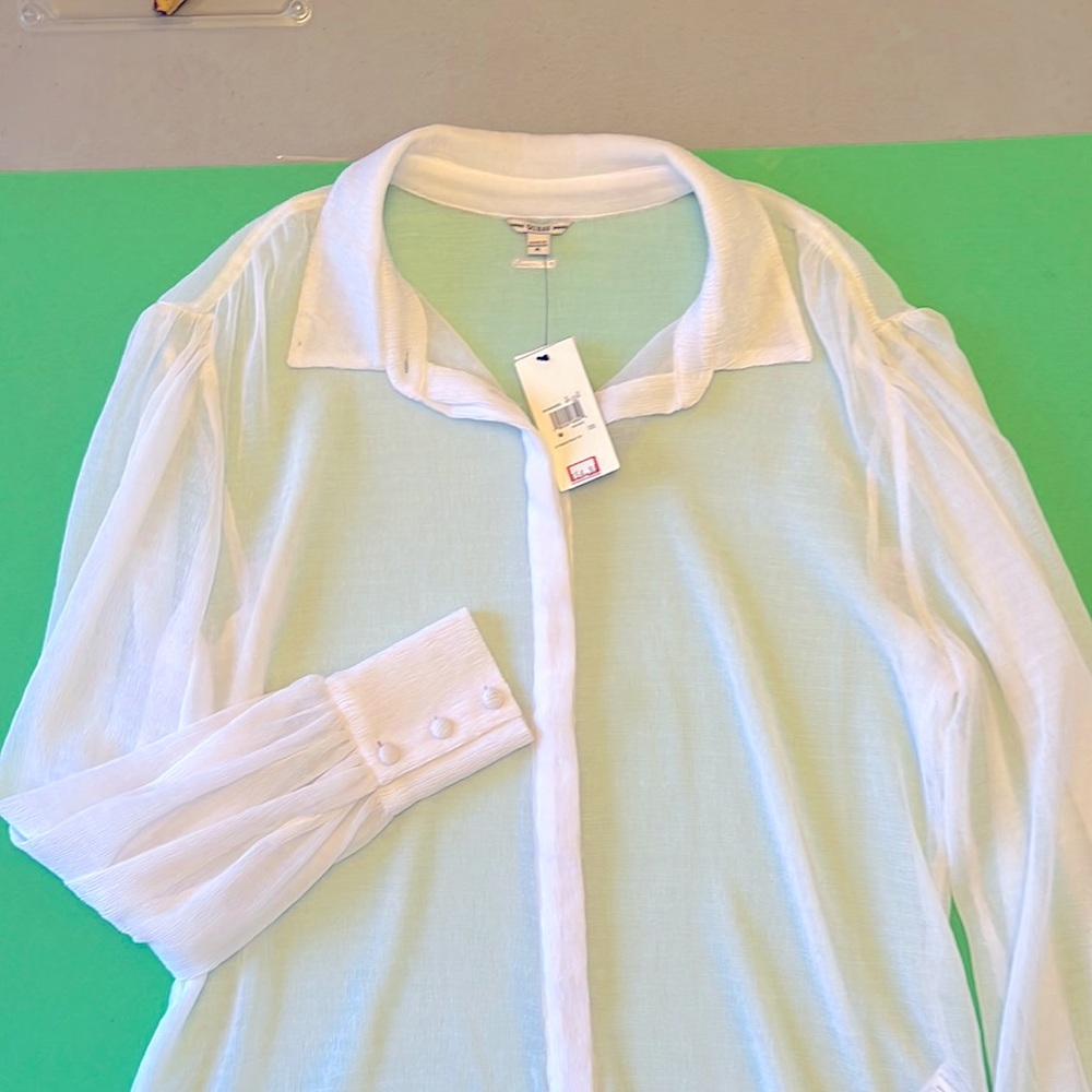 GUESS. This is a Sheer blouse